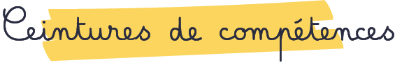 Ceintures de compétences